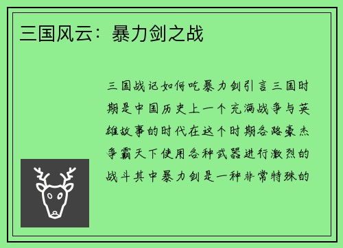 三国风云：暴力剑之战